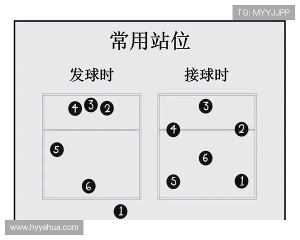 成都排球队的盯防战术解析与深度剖析排球竞技的魅力与挑战