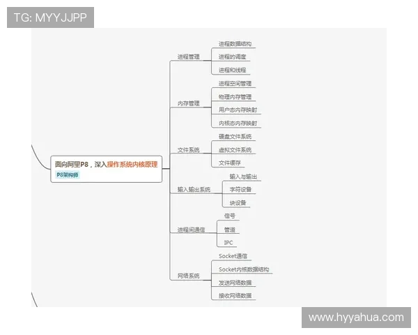 《探秘Elk射手的成长历程与战术应用分析》